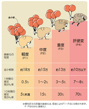 c型肝炎 販売 血 ペット